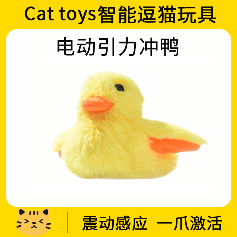 3种展翅4种发声猫咪走哪儿叼哪