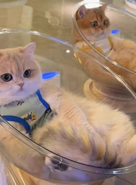 太空舱猫窝四季通用高透亚克力实木转盘猫玩具猫床一体猫咪透明窝