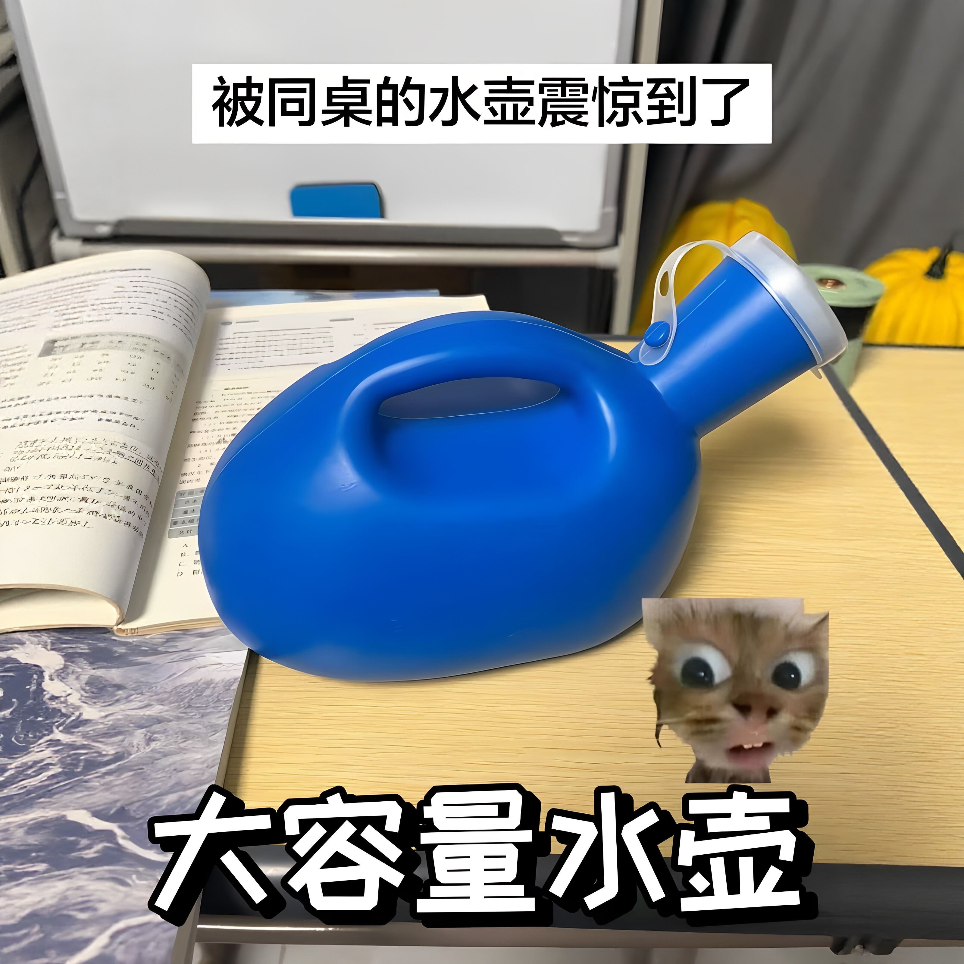 【玩个很新的东西】大容量水壶整蛊玩具重口味上课水杯送朋友礼物