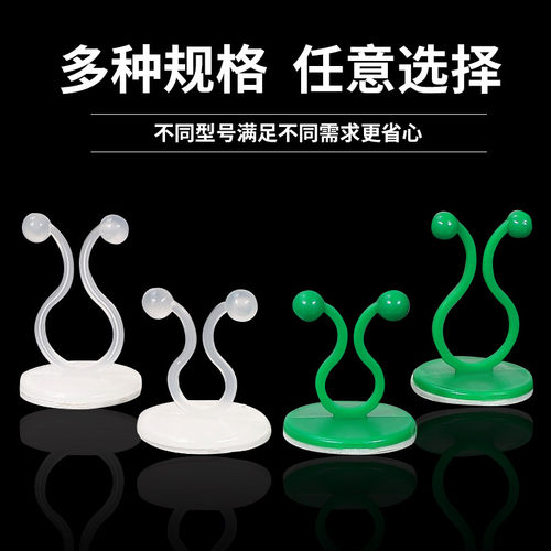 固定绿植专用~爬墙原来是这样的