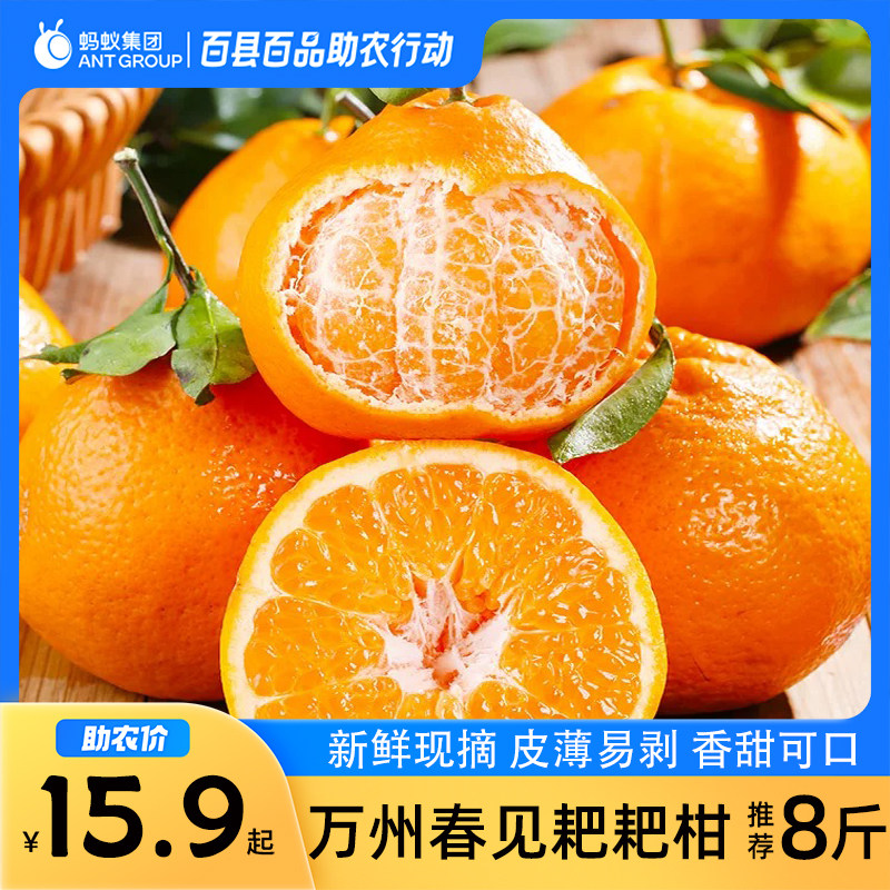 正宗春见耙耙柑重庆万州柑橘新鲜水果橘子桔子应当季现摘产地发,水产肉类/新鲜蔬果/熟食,桔子,淘宝优惠券,粉丝福利购,淘宝优惠卷