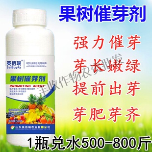 果树抽枝宝苗木催芽茶叶催芽剂苹果猕猴桃发枝素花芽素兰花催生素