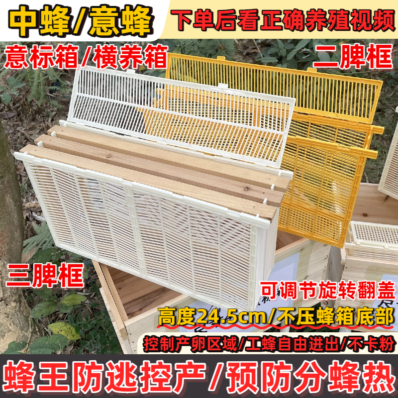 蜜蜂防分蜂防逃中蜂意蜂王控产器