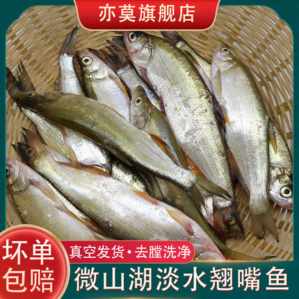 鲜活小白条鱼翘嘴鱼淡水小河鱼白鱼刁子鲜鱼干餐条川条新鲜微山湖