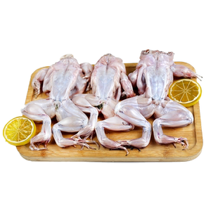 牛蛙鲜活新鲜特大田鸡蛙肉半成品牛蛙腿牛蛙肉冷冻商用石蛙批发