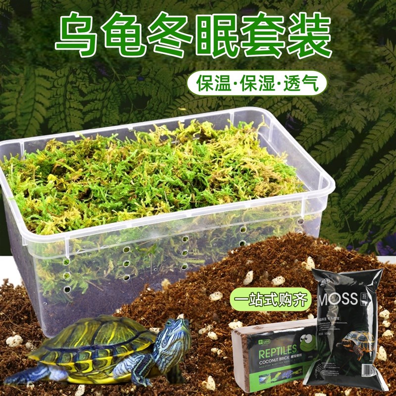 乌龟冬眠箱恒温饲养箱爬宠过冬保温套装椰砖苔藓巴西龟生态箱