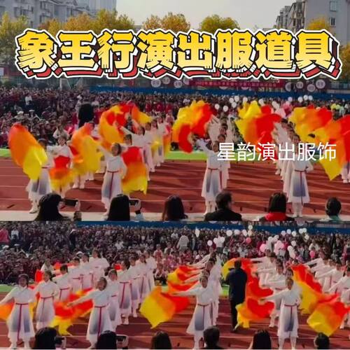 少年强像象王行舞蹈服装