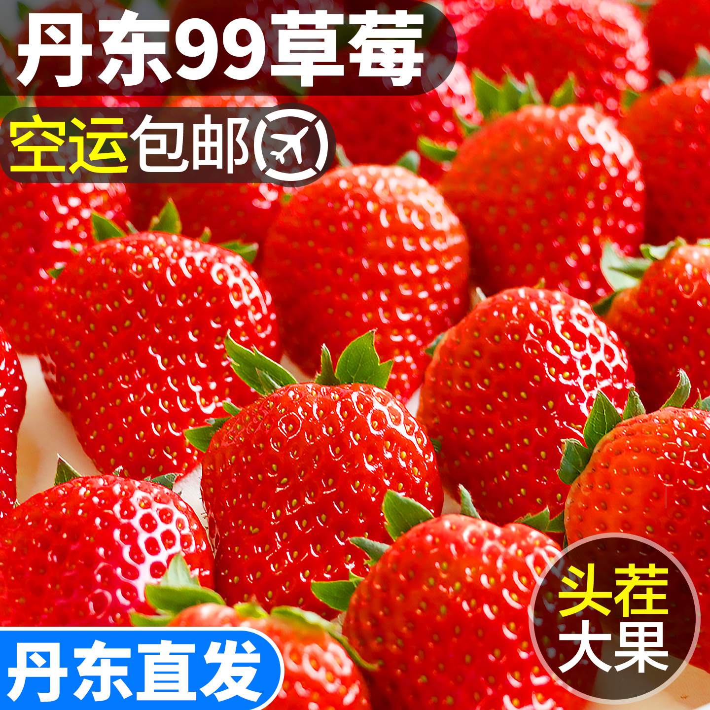 【送货上门】正宗丹东99草莓