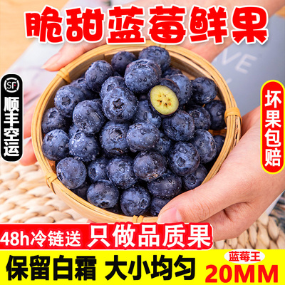 丹东蓝莓鲜果头茬大果时令水果