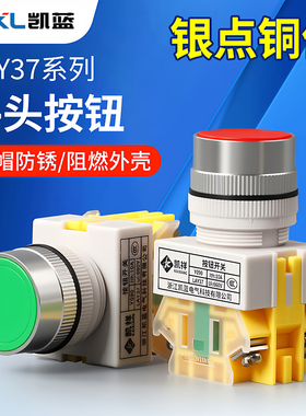 自锁自复位电源按钮开关PBC LAY37-11BN平头按钮22MM常开常闭Y090