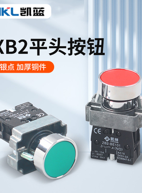 按钮开关XB2-BA31/42/51/61/21自复位点动圆形点触式电源启动按钮