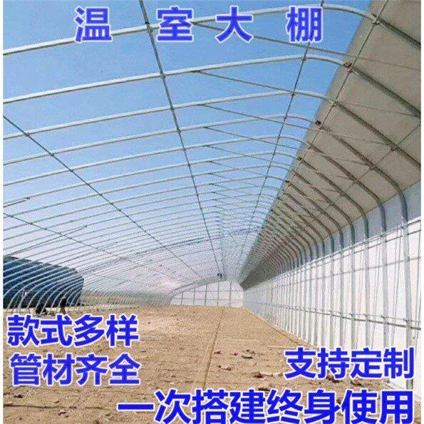 高端大棚钢管管架k鸡鸭鹅猪种牛羊椭圆骨温室a植简易连栋棚薄奢华