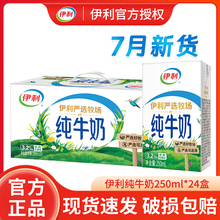 7月新货伊利纯牛奶250ml*24盒/装整箱批成人学生儿童营养早餐牛奶
