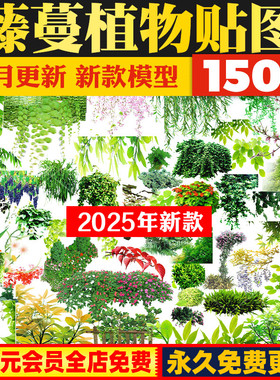 藤本藤蔓景观攀爬植物贴图PSD常春藤铁线莲五叶地锦长春蔓PS素材