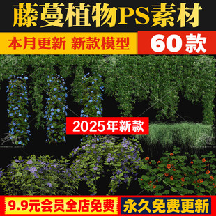 垂吊藤蔓植物花瀑布花墙月季爬山虎锦屏藤铁线莲免抠PSD源文件PNG