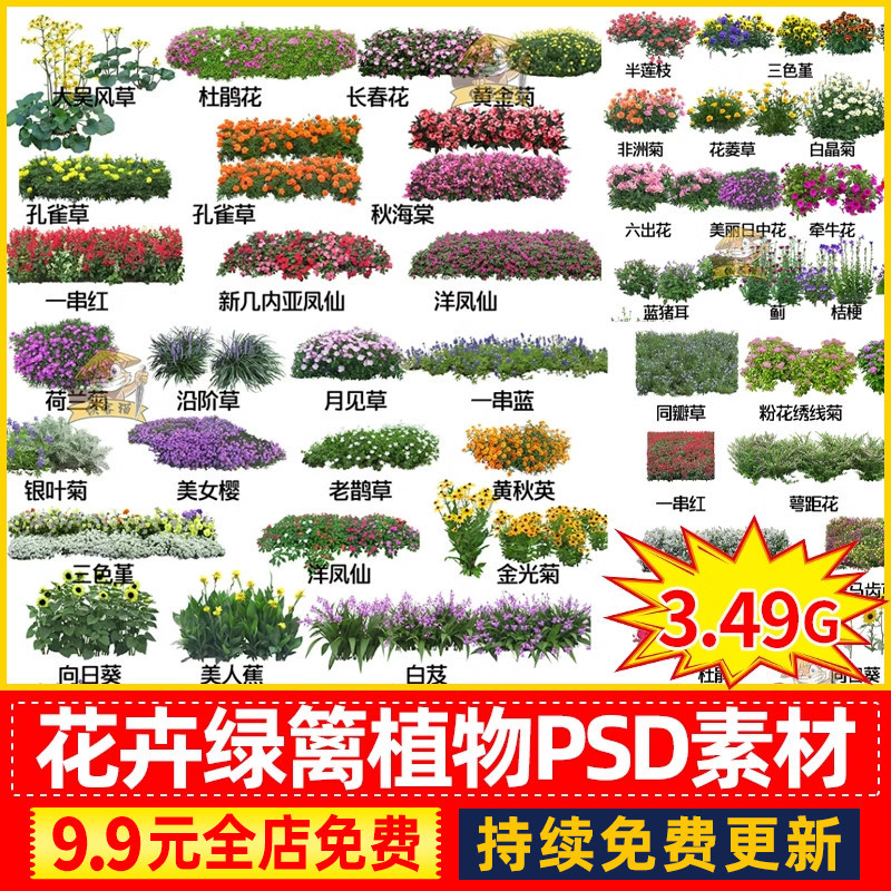 花卉绿篱地被花开植物盆