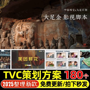 4A广告公司TVC宣传片脚本分镜视频品牌提案市场营销策划PPT方案新