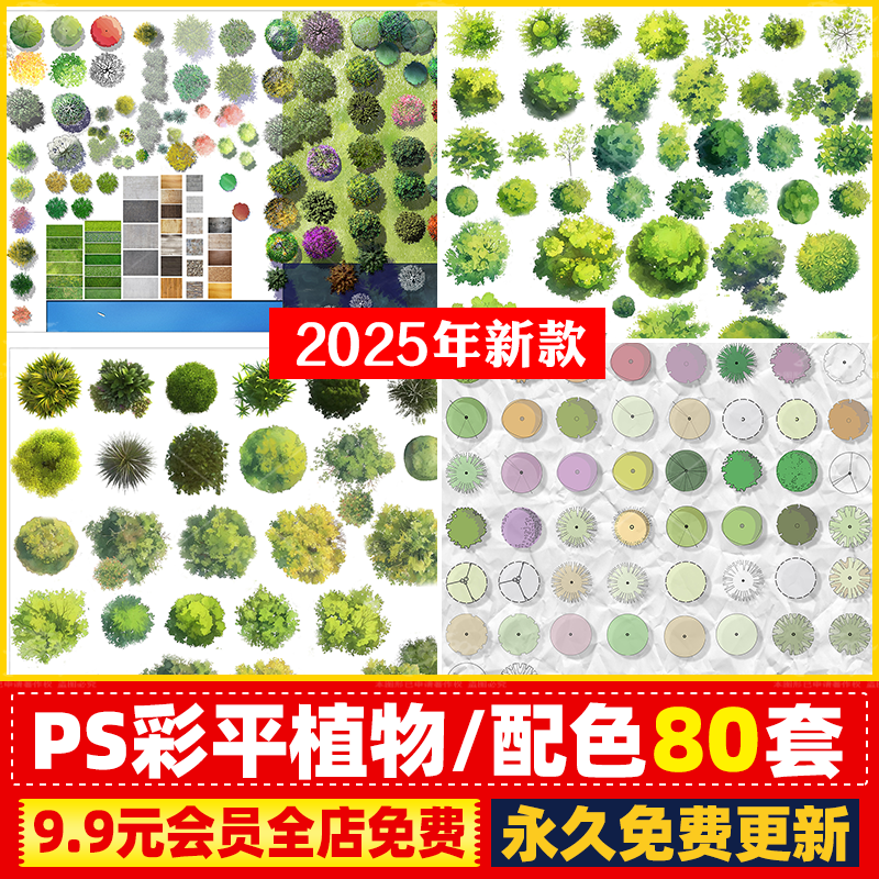 PS园林景观彩色平面图植物树分层草皮花卉纹理配色PSD彩平图素材