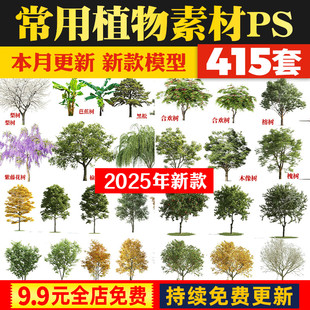 高清PS常用园林景观植物乔灌木立面树效果图后期PSD分层素材榕树