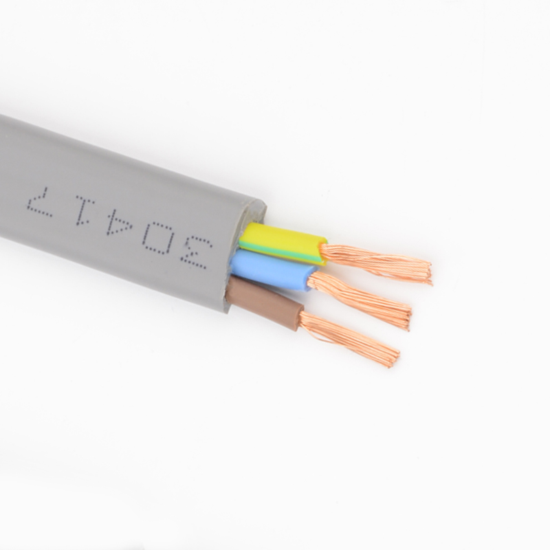 电梯空调专用随行电缆线3芯2.5平双钢丝TVVB2G3随行扁平电缆线