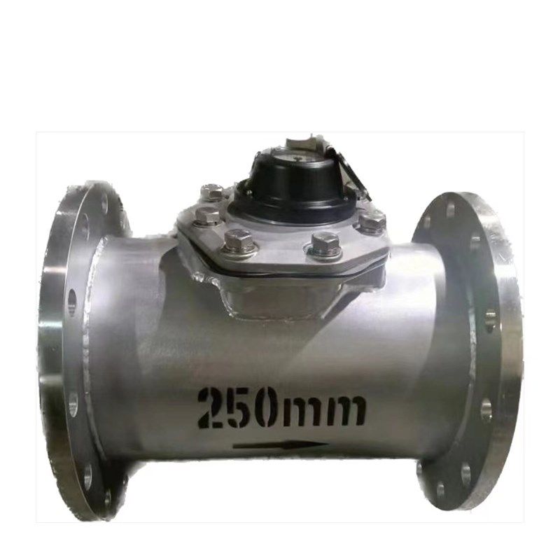 不锈钢法兰水表304/316工业用DN15一600冷热水干湿式防冻防腐仪表