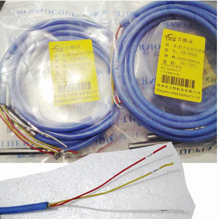 进口探头PT100 防腐防水热电阻 PT1000铂 电阻温度传感器DS18B20
