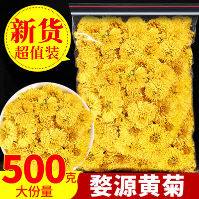 正品菊花茶婺源皇菊黄山黄菊花