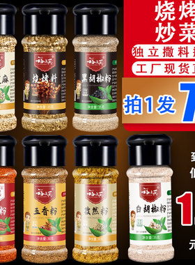 淄博烧烤调味料撒料五香孜然粉辣椒粉烤肉炸串蘸料家用全套组合装