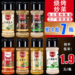 淄博烧烤调味料撒料五香孜然粉辣椒粉烤肉炸串蘸料家用全套组合装