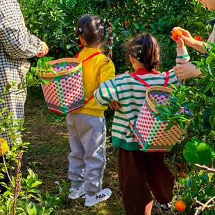 儿童舞蹈道具背篼舞四川纯手工编织塑料幼儿园游戏小背篓小背篼