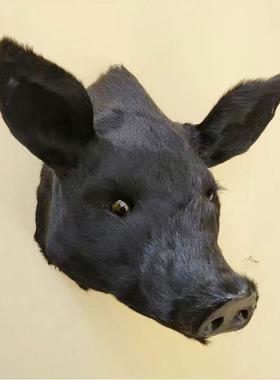 彷真牛头猪头摆件动物头模型墙面挂件饭店商场装饰品摆件影视道具