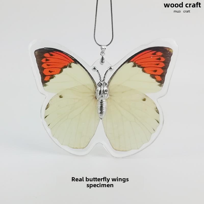 真蝴蝶标本昆虫树脂巴黎碧凤青凤蝶 工艺品收藏生日结婚送礼包邮