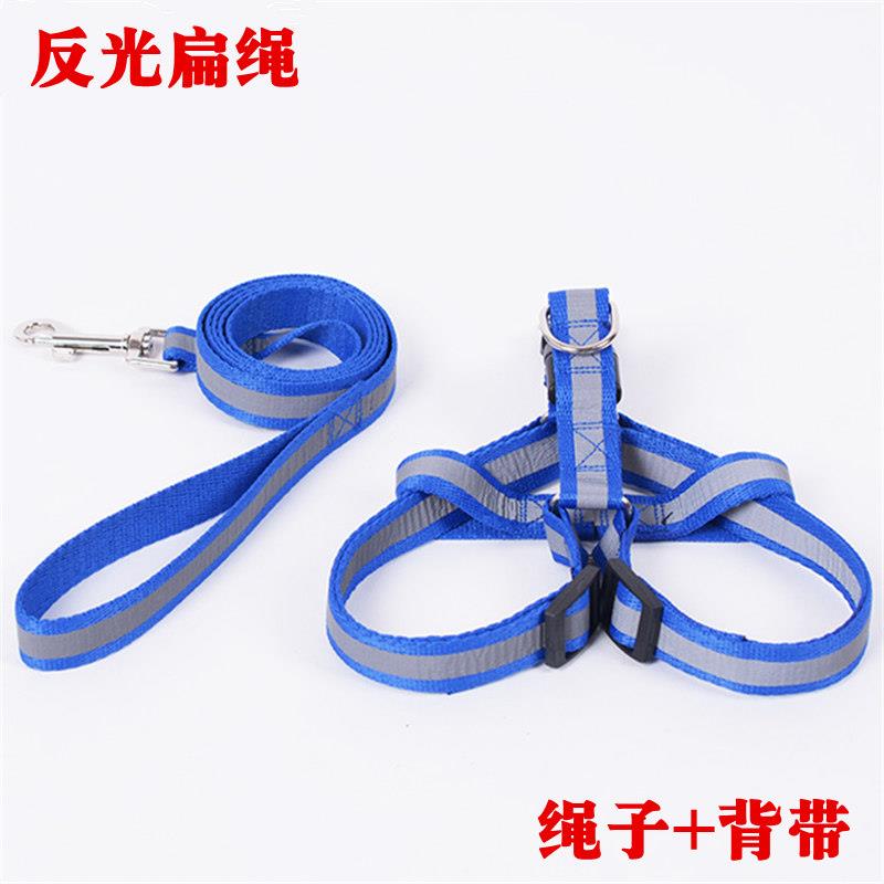 小狗狗牵引绳夜间反光中小型犬发光狗链夜光遛狗绳子泰迪比熊柯基