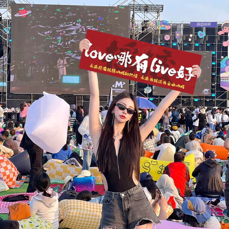 音乐节手持横幅氛围感拍照道具赵雷二手玫瑰回演唱会春丹应援旗帜
