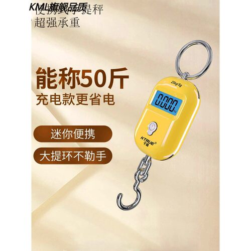 精准迷你手提电子秤高精度家用小型便携式吊秤弹簧秤钩称行李称克