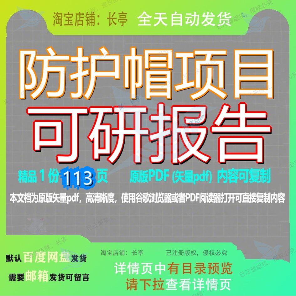 防护帽项目可研报告113页 项目报告可研资料防护文档优质可复
