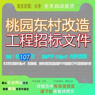 桃园东村改造工程招标文件107页 工程文件招标改造资料文档优质