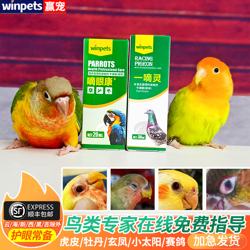 鹦鹉眼病单眼伤风护眼常用品