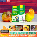 鹦鹉单眼伤风一滴灵牡丹玄风虎皮鹦鹉护眼常备鸽子鸟用品非眼药水