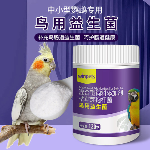 赢宠鸟用益生菌补充多维