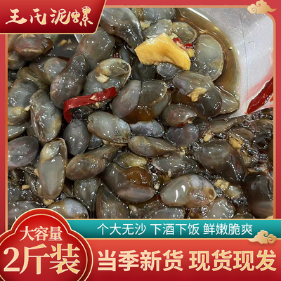 即食泥螺盐城特产宁波海鲜