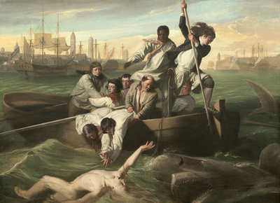 沃特森和鲨鱼30.22M高清作品图