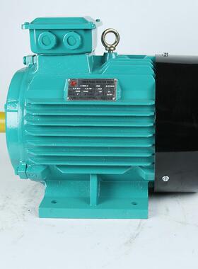 厂家直供三相异步电动机W20V1-160w-4p_V1立式三相电机