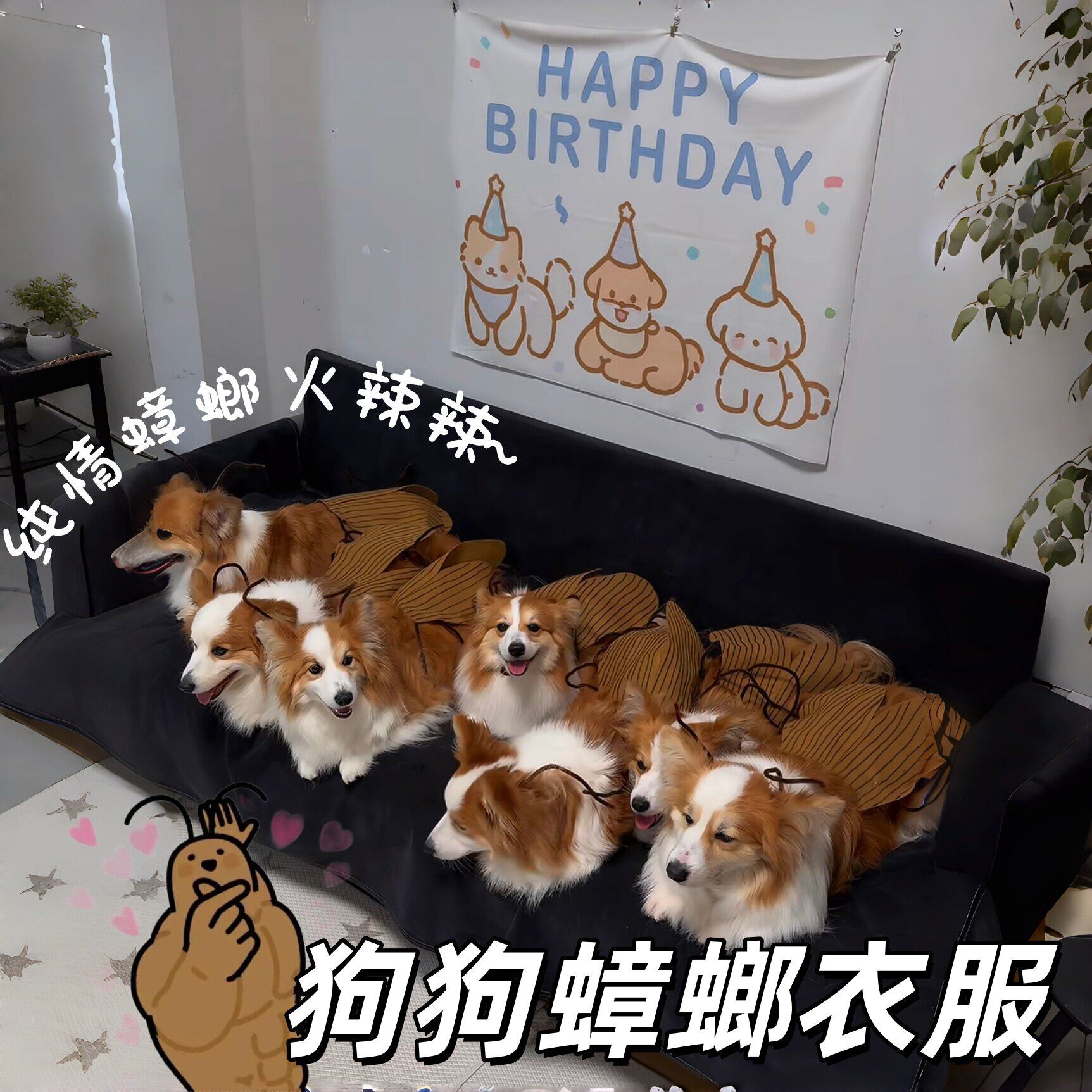 【蟑螂猫咪】狗狗cos装扮衣服搞怪手工diy扭扭棒材料包宠物小服装
