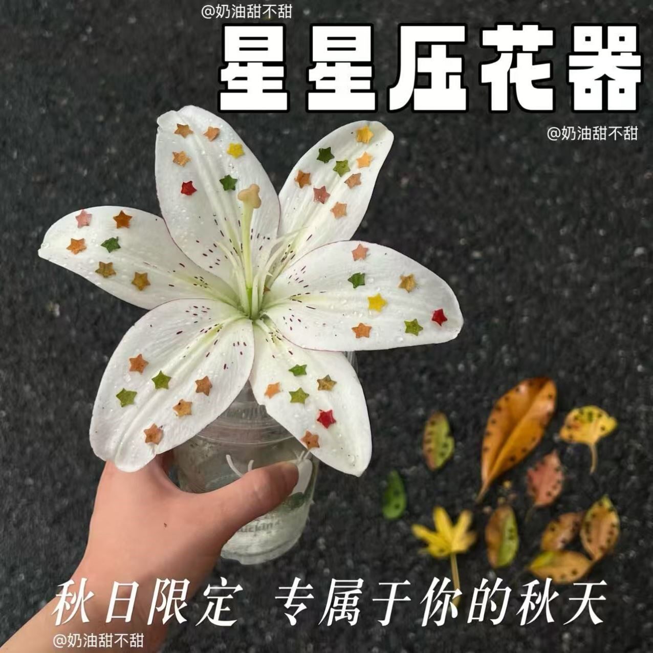 星星压花器手工diy材料包迷你压花器
