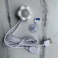 Only Sensor+No Light