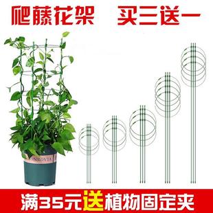 铁线莲藤本植物攀爬蟹爪兰支撑杆 爬藤架花架园艺支柱阳台绿萝月季