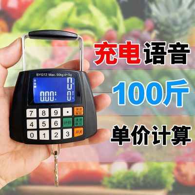 带语音自动计价手提电子秤充电弹簧秤小型手拿便携式高精度迷你秤