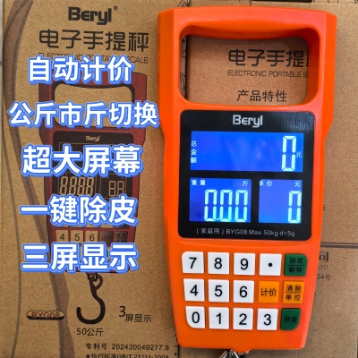自动计价手提电子秤充电小型手拿大屏幕电池便携式高精度带语音秤