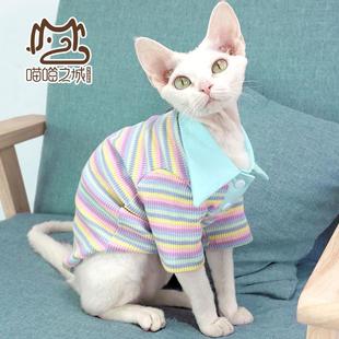 新无毛猫德文宠物猫衣服纯棉透气莫兰迪条纹华夫格POLO衫 2024夏季